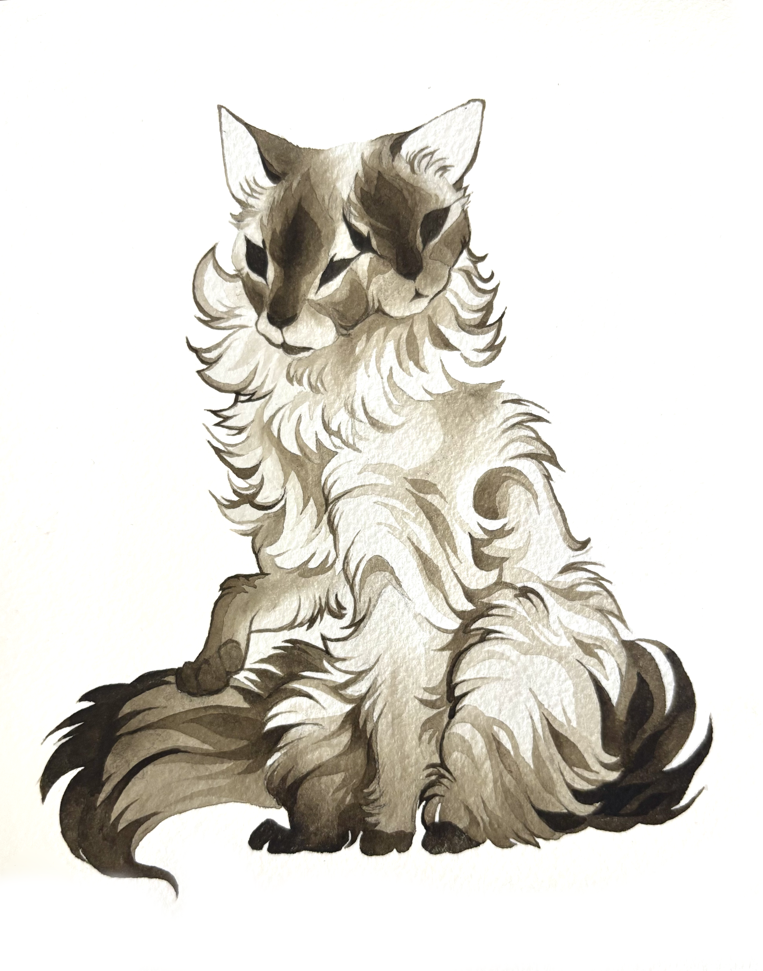 two headed cat.png