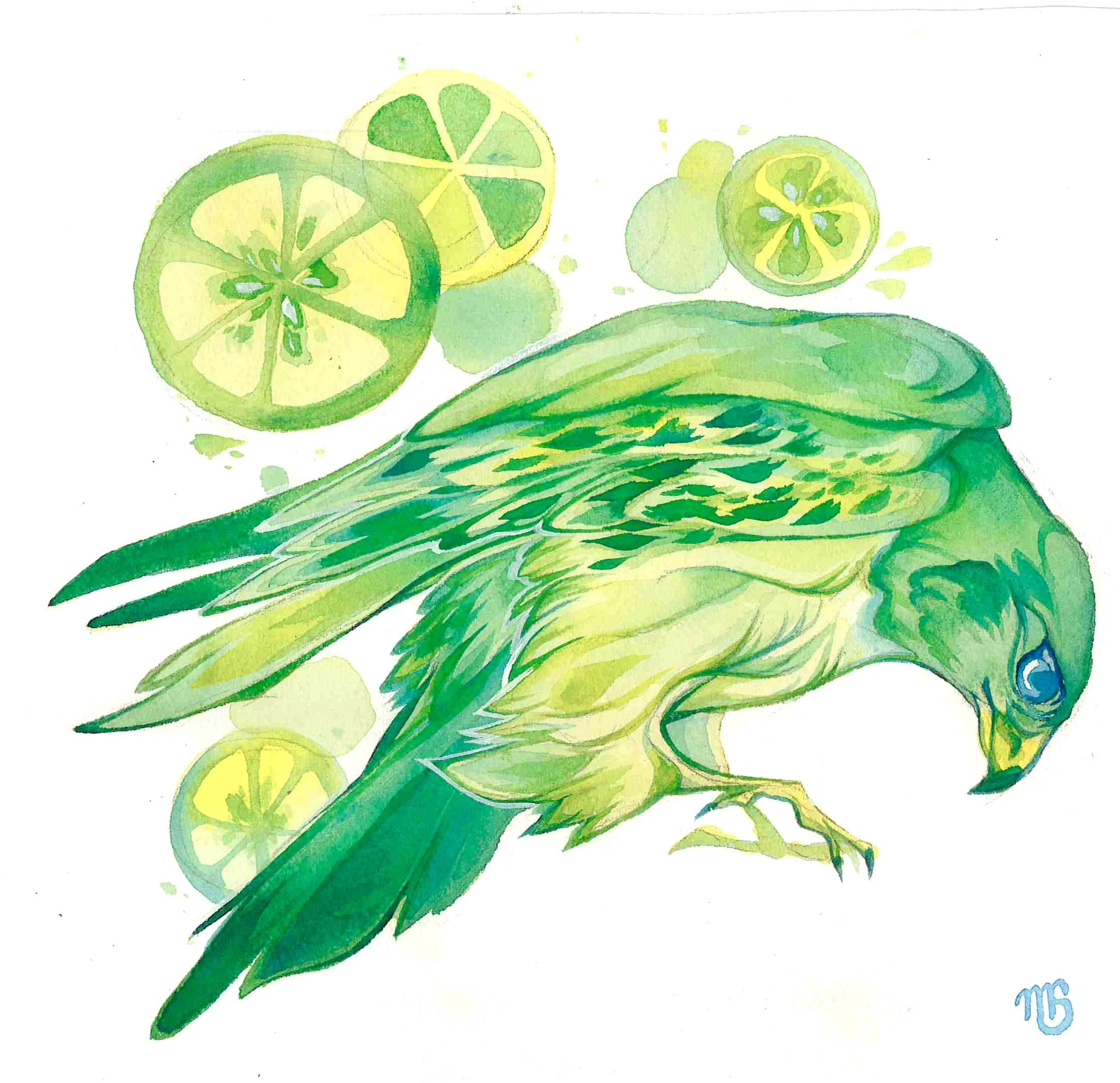 Original Citrus Birds