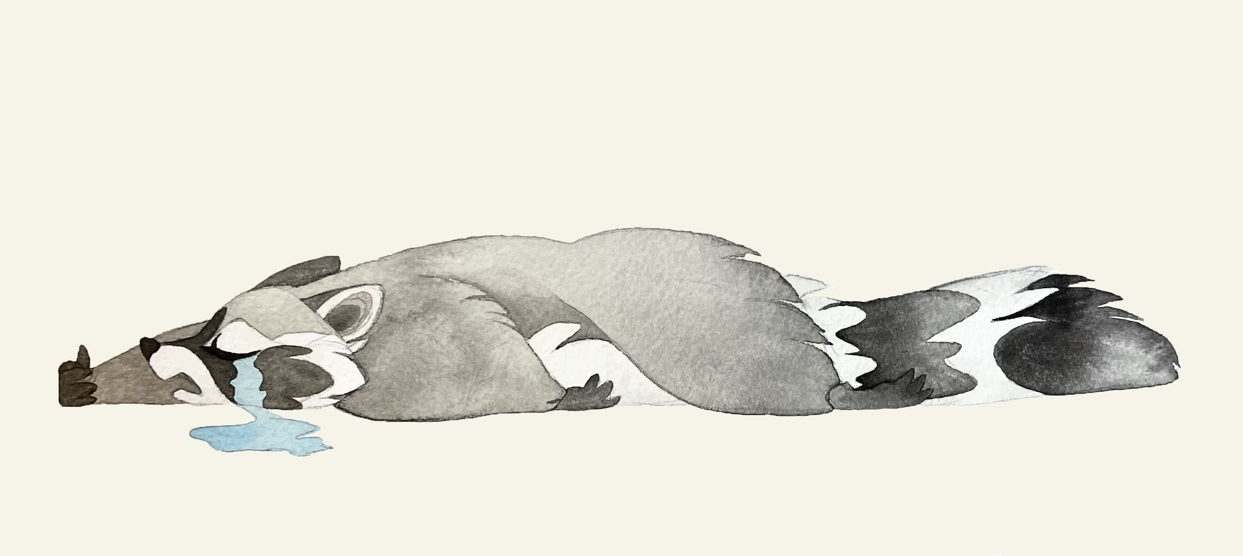 melting raccoon.png