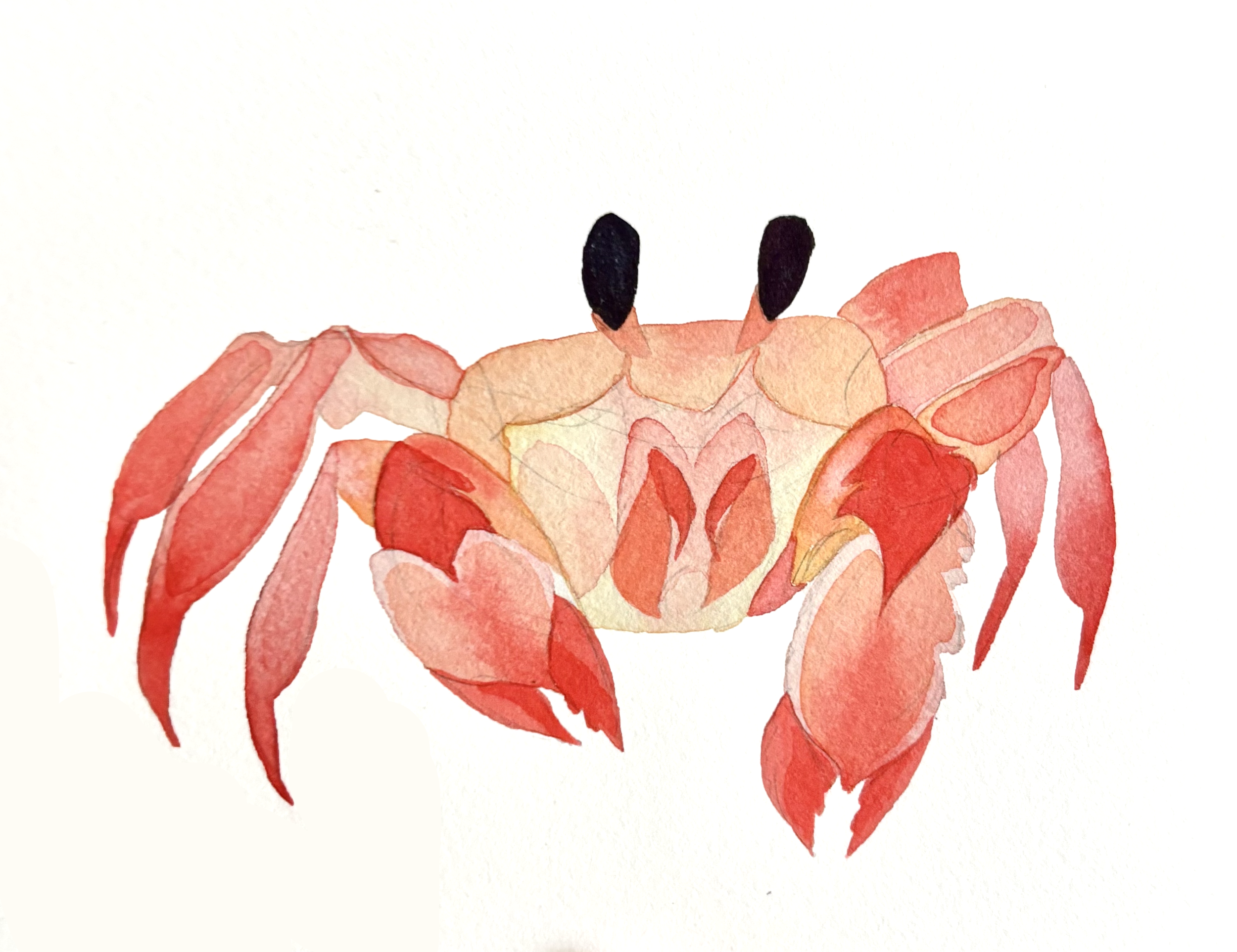 pink crab.png