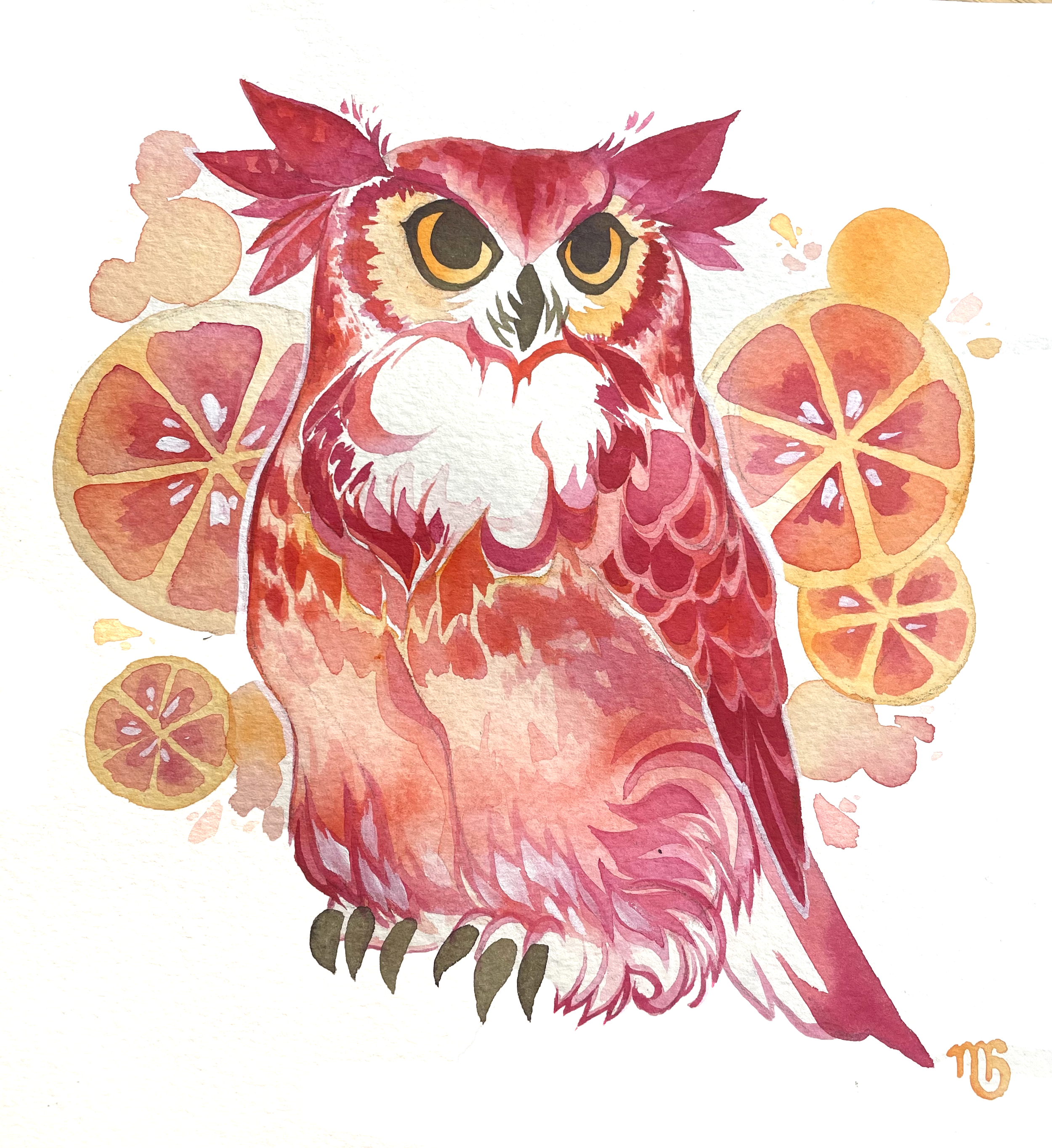 blood orange.png