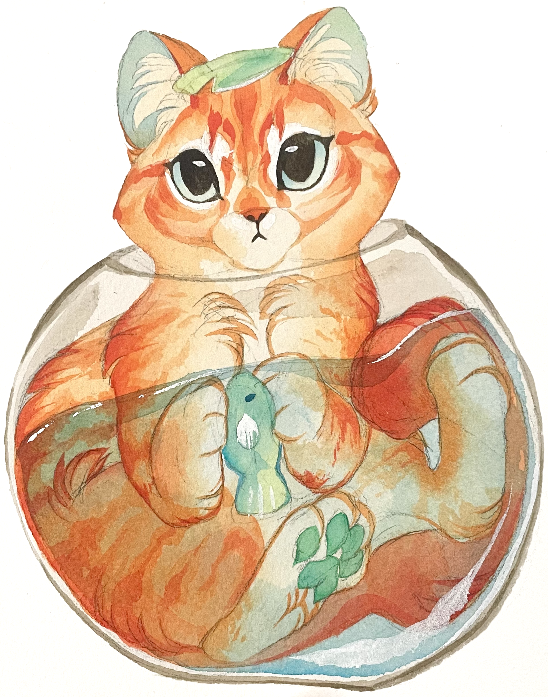 goldfish cat.png