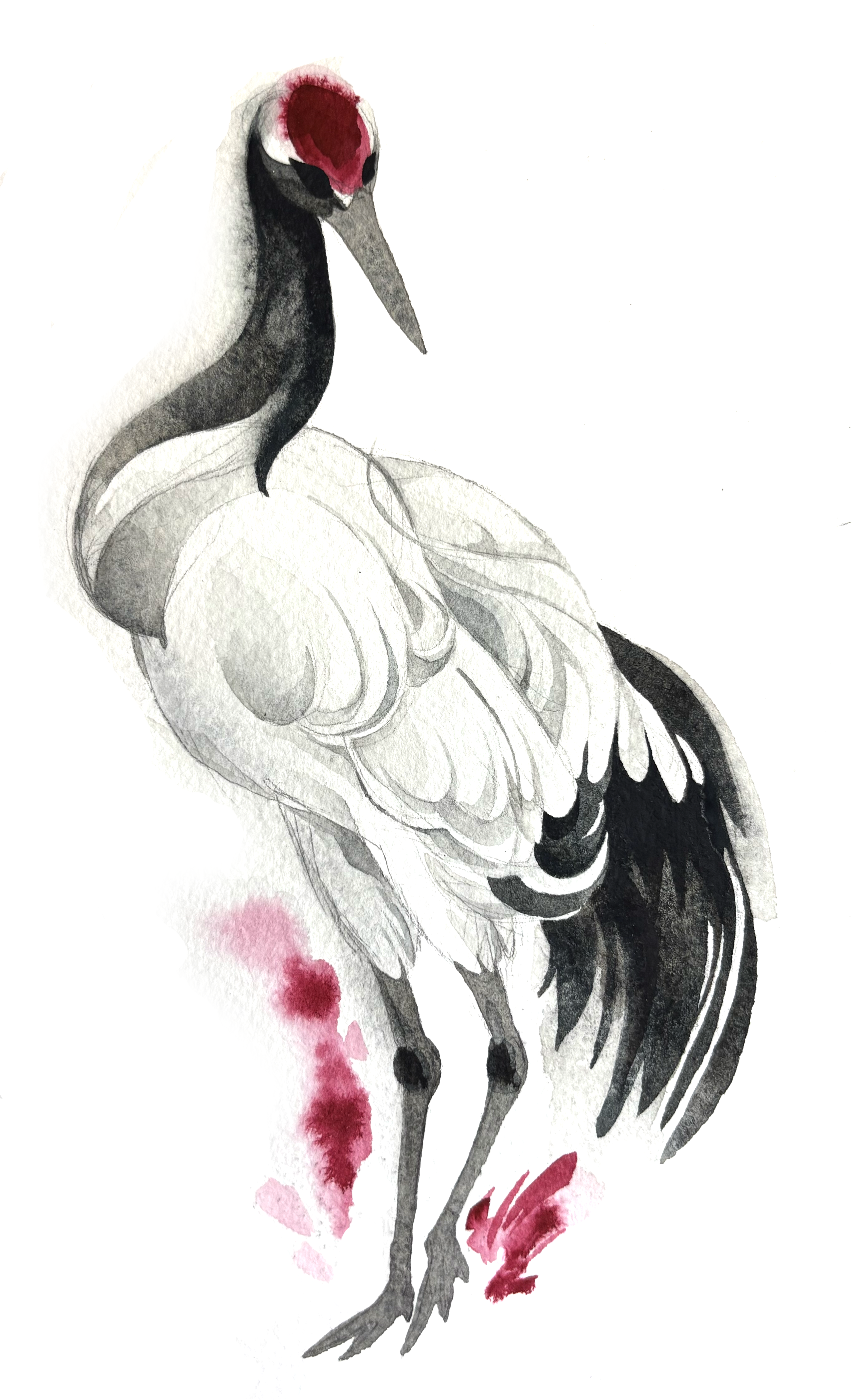 Original Bird Paintings