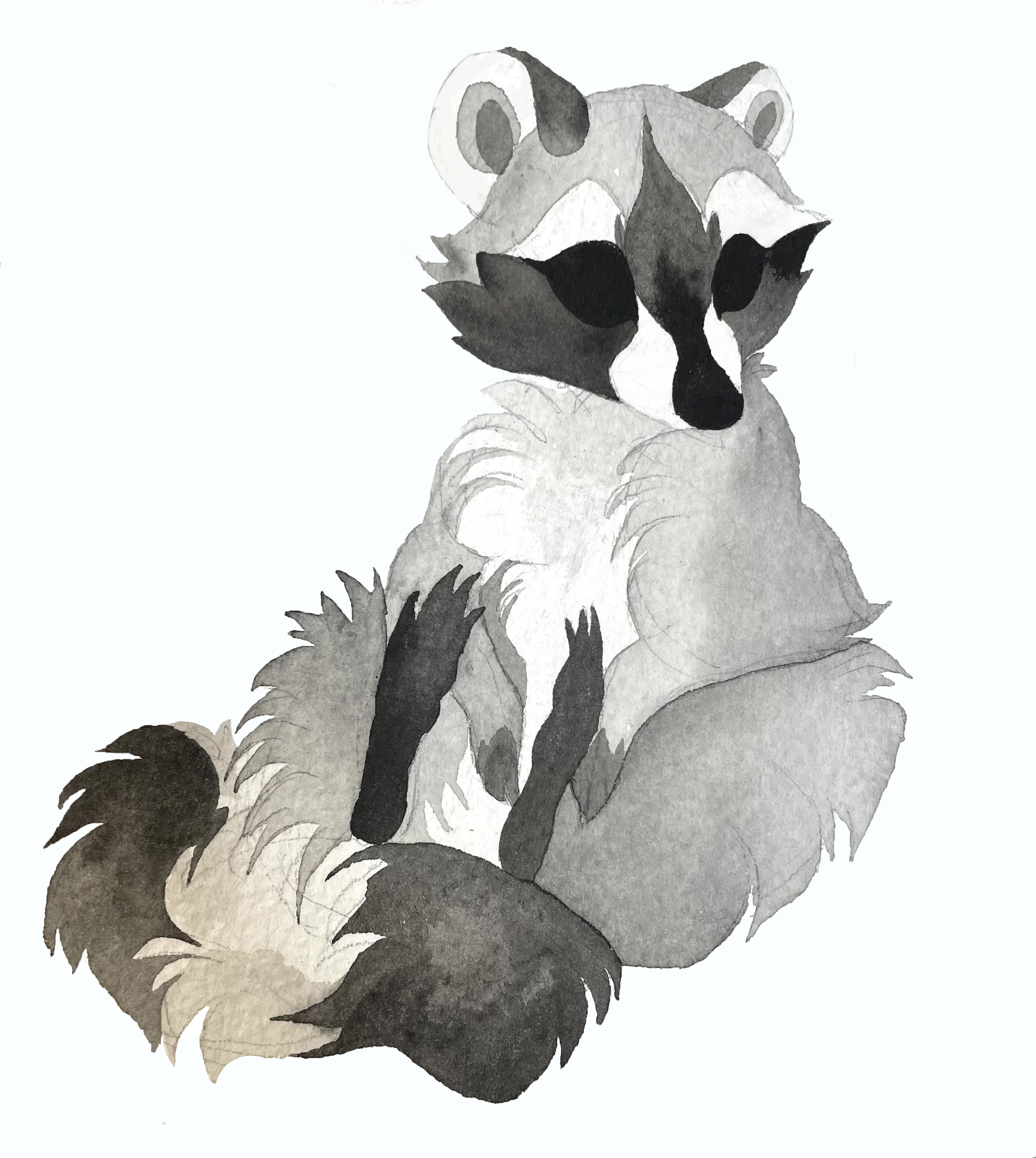 sitting raccoon.png