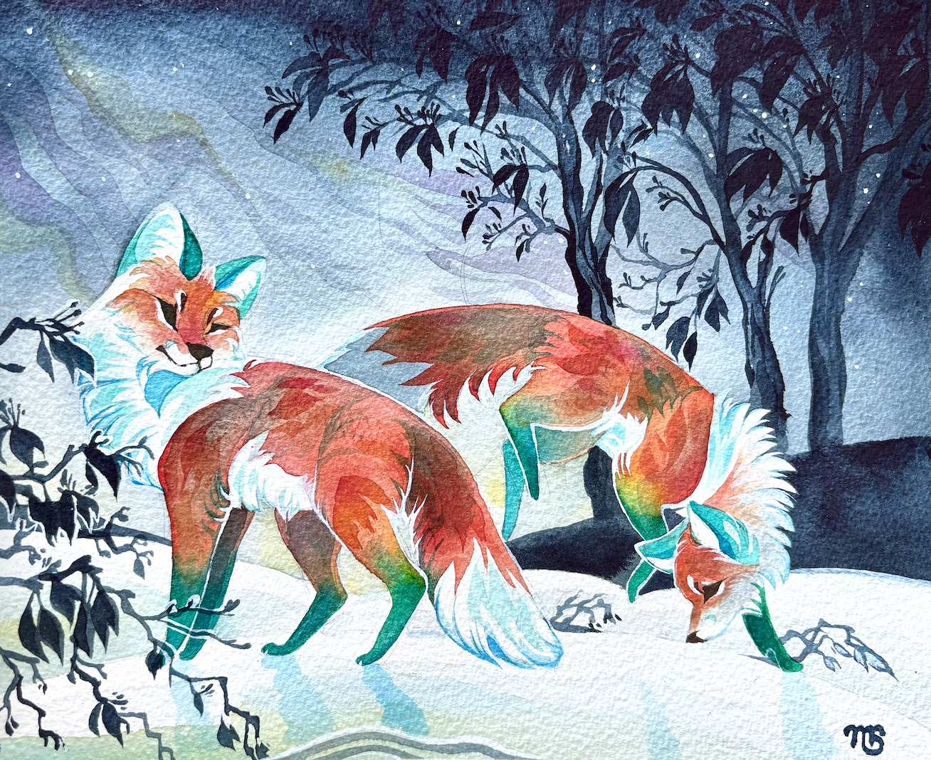 Snow Foxes Print
