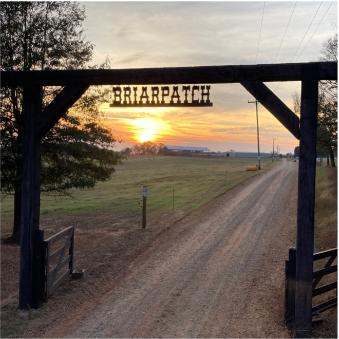 Briarpatch Farm Joins the Greene County Chamber of Commerce