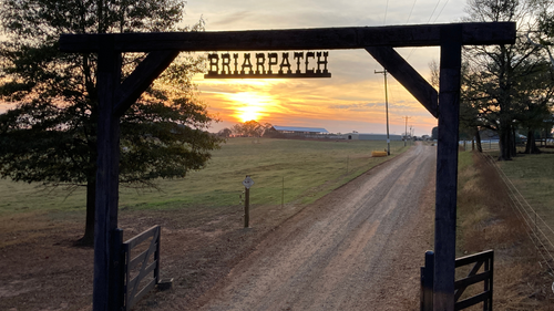 Our Story | Explore Our Heritage — Join Us Today — Briarpatch Farm