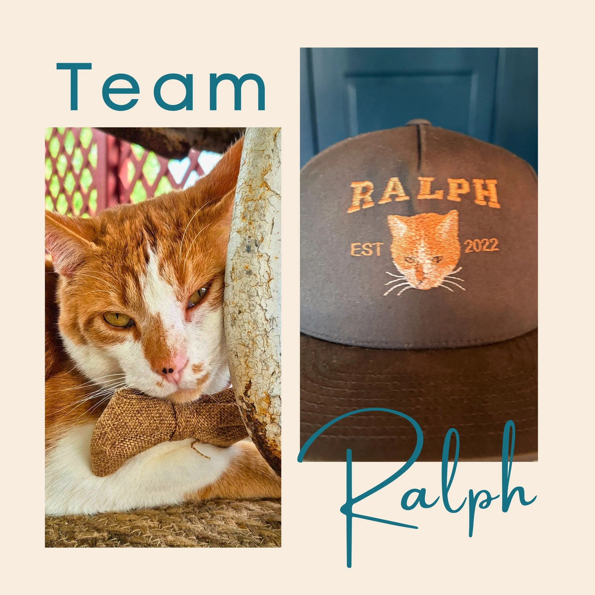 🐾 Ralph fans, we need your opinion! Our beloved campground kitty has inspired a one of a kind hat &mdash; and it&rsquo;s got us thinking about adding Ralph merch to the store.

Should we?
👍 Yes, Ralph hat please
😺 Yes, but give me a shirt, mug, or