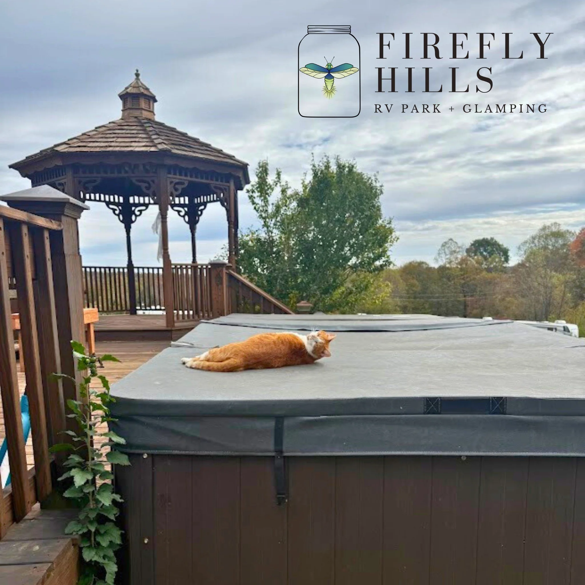 😸 Ralph&rsquo;s got it all figured out.

While the temps are dropping, he&rsquo;s found the purr-fect spot to stay warm &mdash; right on top of the hot tub cover. 

Smart cat, cozy vibes, and fall days at Firefly Hills. 🍂

#FireflyHills #Campground