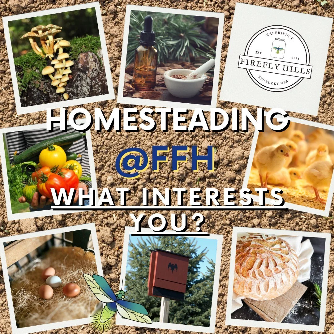 Homesteading is more than a lifestyle, it's a collection of passions 🌱
From gardening and fresh eggs to herbal remedies and caring for our animals. Every day brings something new.
✨What interests you? ✨
Tell us what part of the homestead life you ar