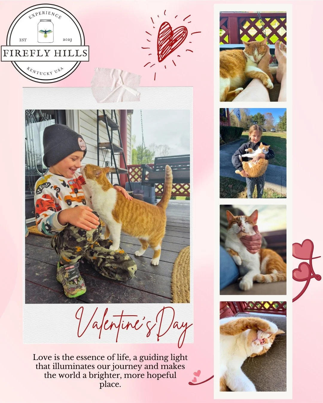 Happy Galentine's/ Valentine's Day from us at Firefly Hills! It's safe to say that Ralph is the most loved sweetheart around here and we wouldn't have it any other way💕

 #fireflyhills #Kentucky #love #Galentinesday #valentinesday