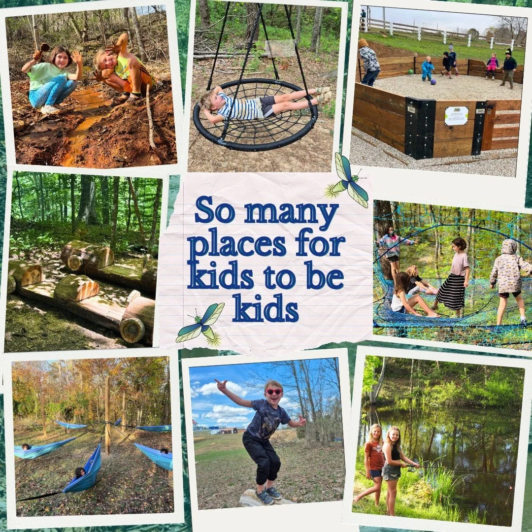 At Firefly Hills, we&rsquo;ve created spaces where kids can truly be kids🌳

From open meadows and forest trails to fishing ponds and climbing logs, every corner of our property is designed for exploration, imagination, and muddy shoes. Here, learnin