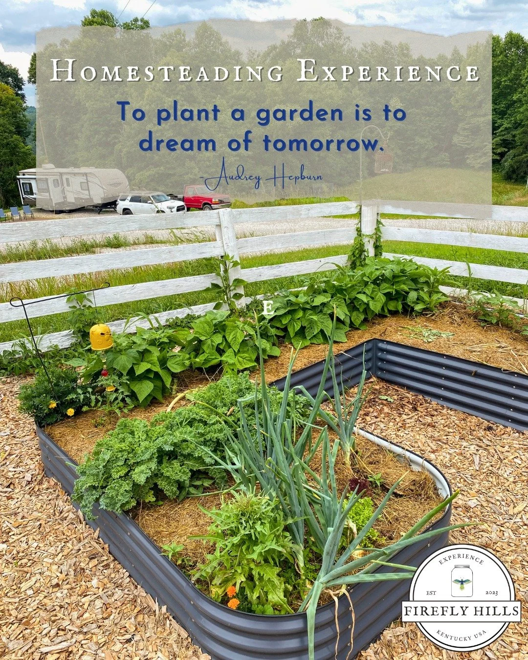 #TBT to a thriving community garden and our excitement that sowing season is upon us! 🌞🌱🙌🏻

#fireflyhills #homesteading #Kentucky #community #gardening #RVLife  #explorekentucky #ExploreMore