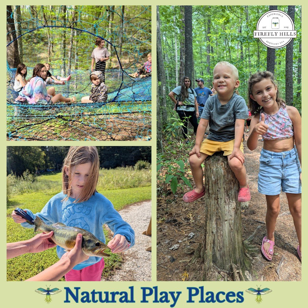 🌿 From a paracord web in the trees to walking trails and our two fishing ponds, there's no shortage of natural play places at Firefly Hills. Adventure awaits around every corner. ✨

Book a stay and explore with us! 
🔗 www.fireflyhillskentucky.com

