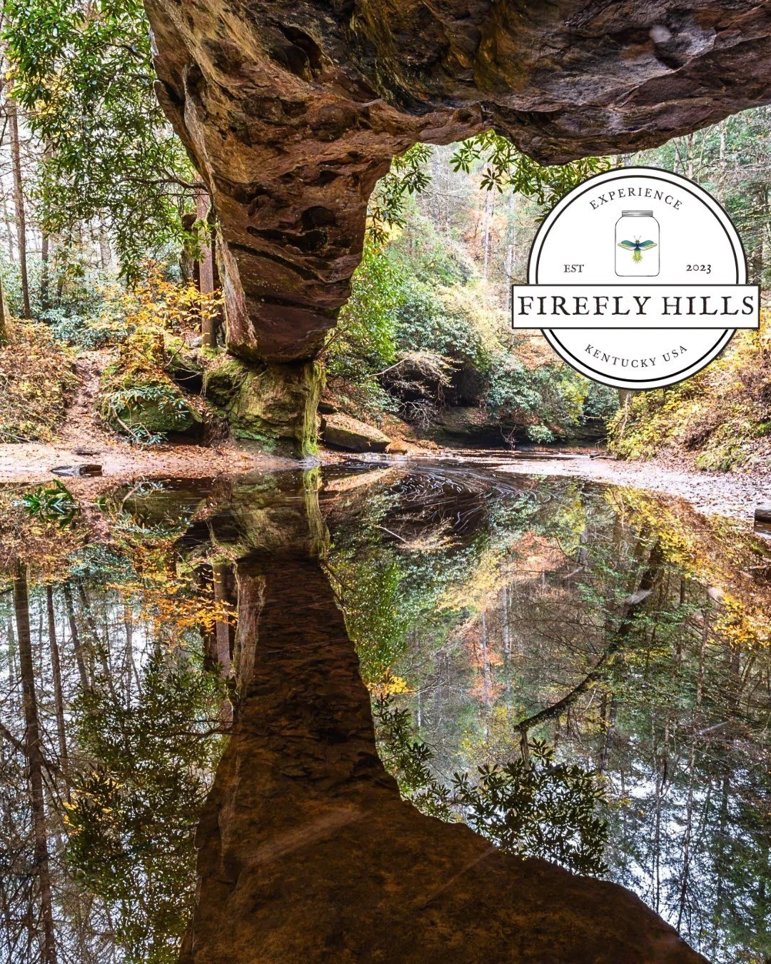 What&rsquo;s your favorite hidden gem to explore/ place to eat near the Red River Gorge?

👇Drop a comment with your recommendation&mdash;we love discovering new places!

One of our favorites is Creation Falls! This stunning waterfall is a must-see, 