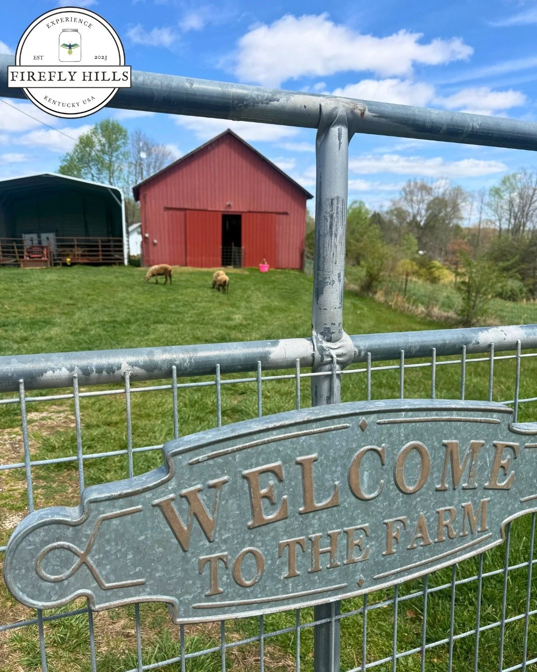 This weekend is the 34th Annual Mountain Mushroom Festival Irvine, KY. The festival is just down the road from us and is a celebration of the Appalachian culture: the morel mushroom, arts &amp; crafts, Daniel Boone National Forest, Kentucky River, an
