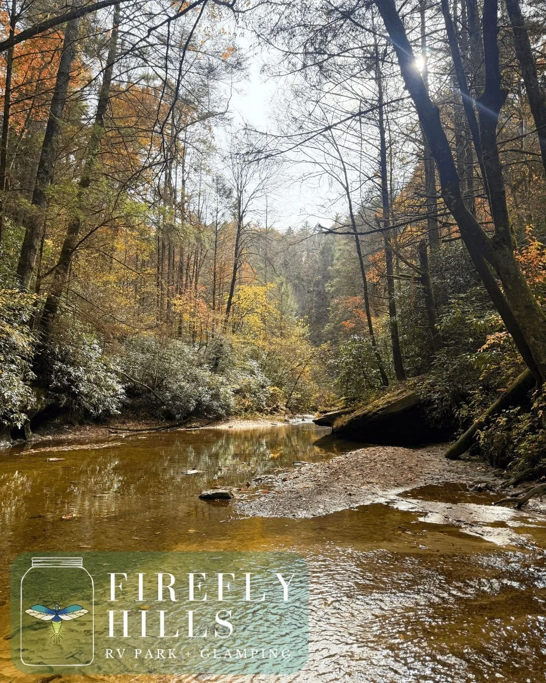 ✨ Missing the cool breeze and golden views? 🍂This colorful day by the creek is the ultimate #TBT. This scenery will be back in just a couple of months and our new river access is the ideal place to be for leaf peeping season! 

Book your stay with u