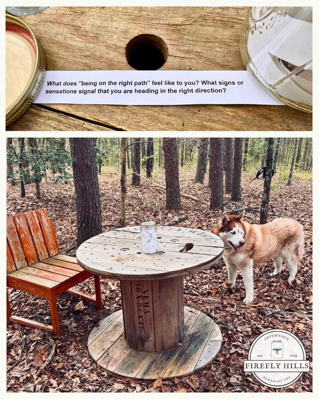 Hidden among the trees along one of our many trails at Firefly Hills, you can find The Thought Spot. 💭
Grab a seat at the table, let your pup settle in at your feet, and take a deep breath of fresh air. You can draw an inspiring note from the mason 