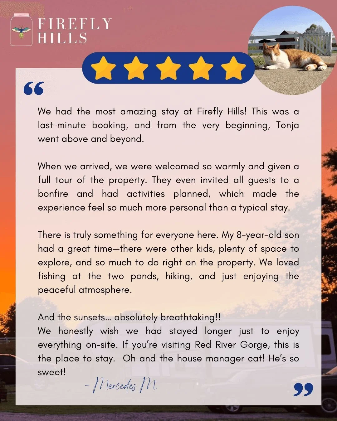 We are so grateful when guests take the time to share their experience. 💚 Thank you for choosing Firefly Hills, for spending time with us, and for such kind words. 

Reviews like this truly mean so much to our small business!