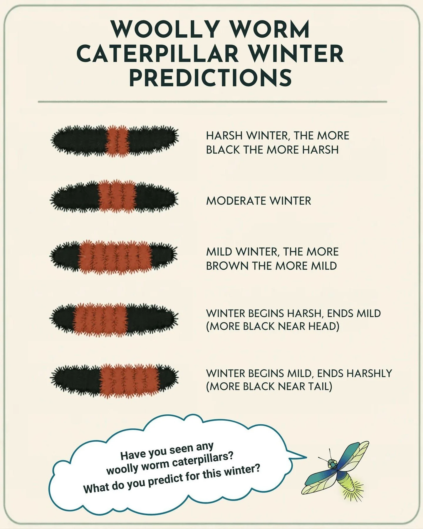 🐛 What are the woolly worms predicting this winter?

Folklore says their black and brown stripes can give us a hint about the winter ahead. What are you seeing? Share your woolly worm photos in the comments!

And don&rsquo;t forget, the Beattyville 