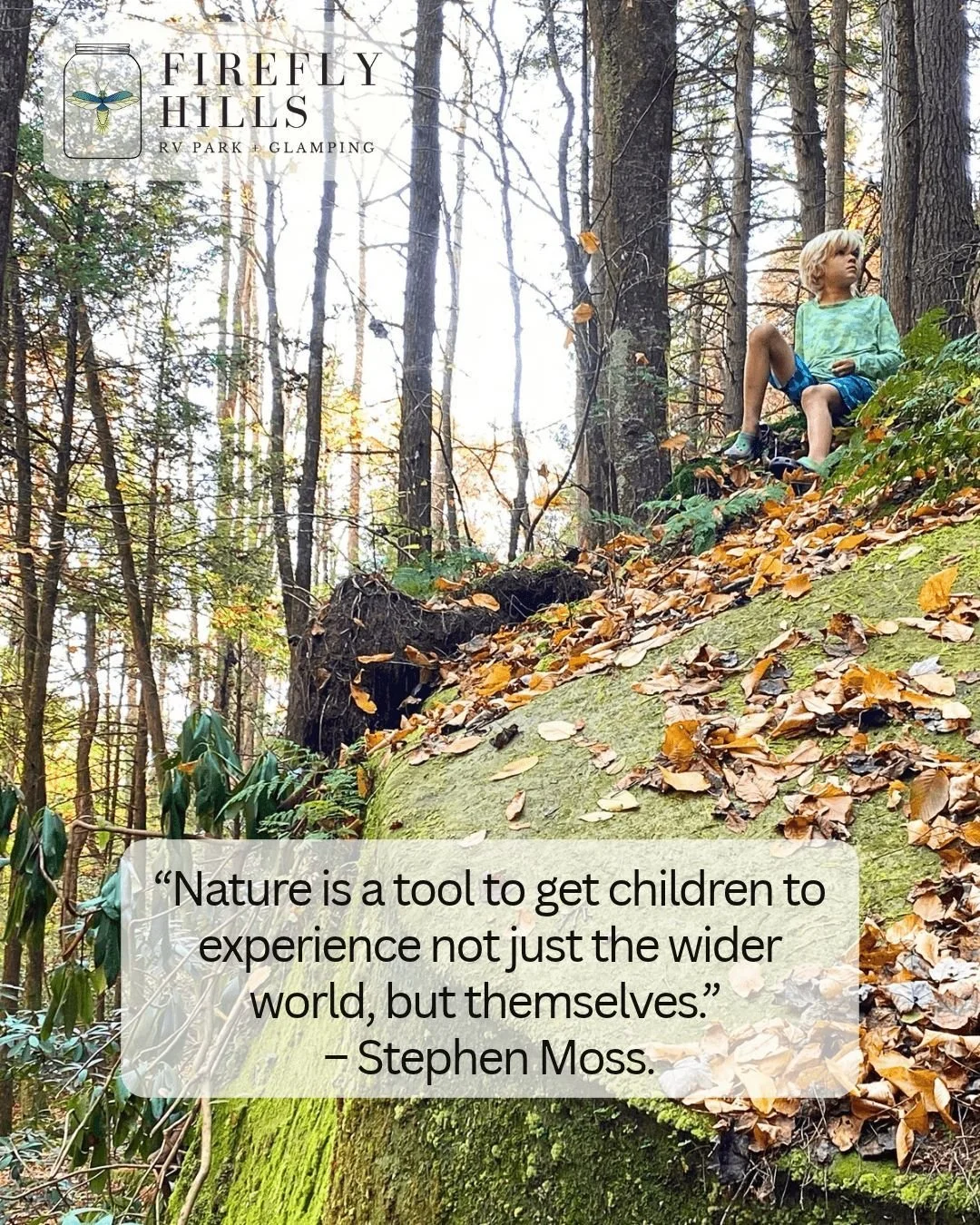 At Firefly Hills, we see this magic happen every day. Our property is designed to let young imaginations run wild and connect deeply with the great outdoors. From fishing ponds and farm animals to the hands-on mud kitchen and peaceful forest trails, 