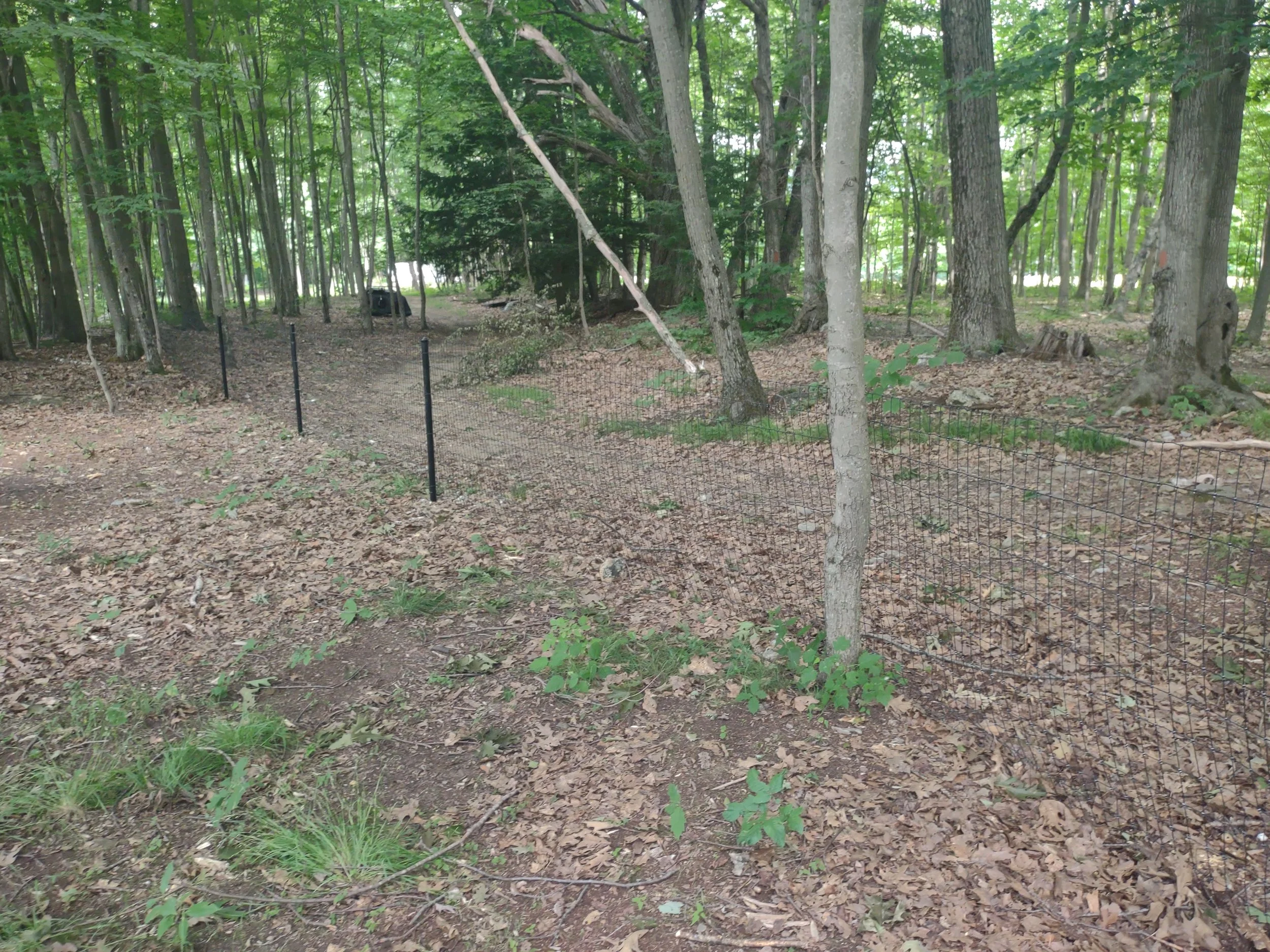 Fixed knot combo steel and wood7.jpg