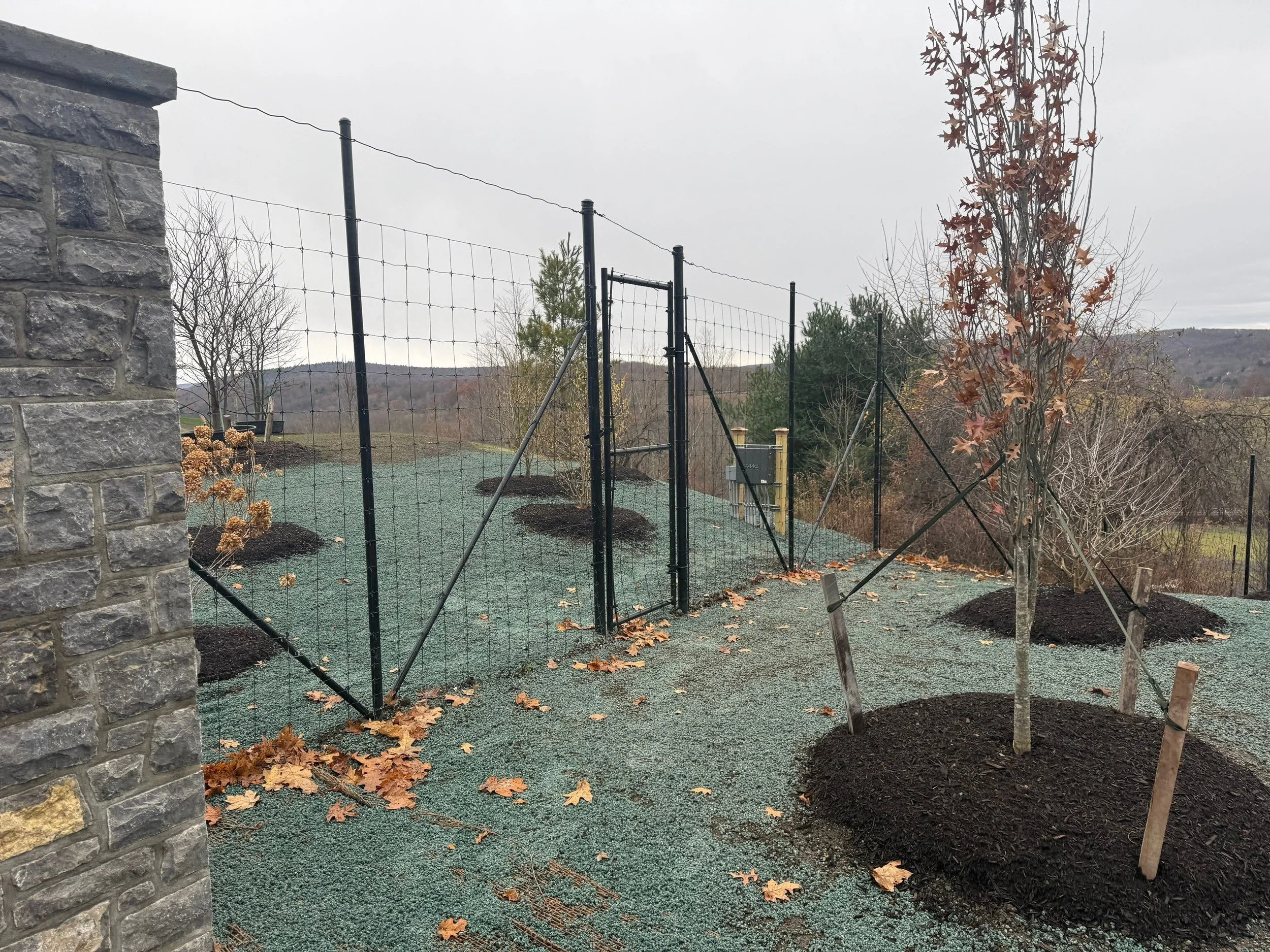 FAAC ornamental steel swing gate-1-Nov 13 2025 11_07am-5f3f.jpg