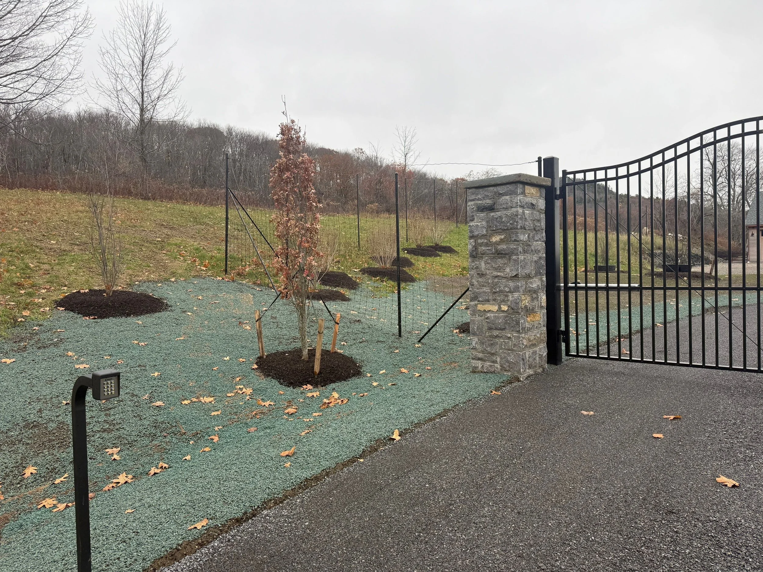 FAAC ornamental steel swing gate-2-Nov 13 2025 11_07am-vQKV.jpg