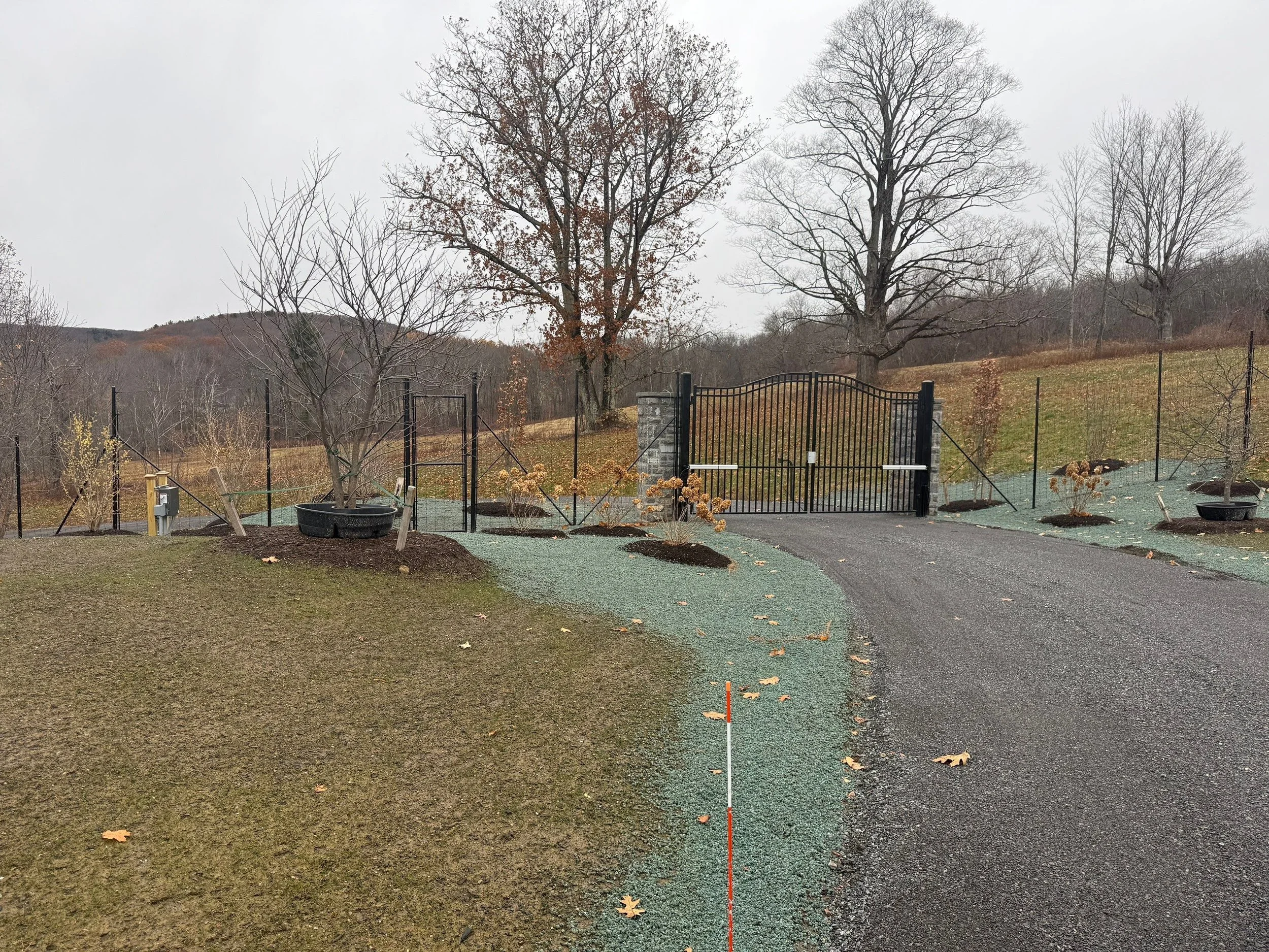 FAAC ornamental steel swing gate-3-Nov 13 2025 11_11am-4aSu.jpg