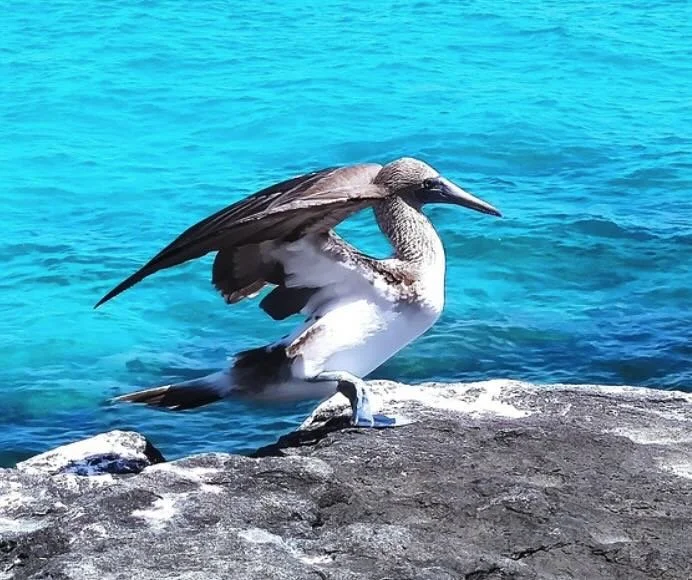 Galapagos National Park - View.jpg