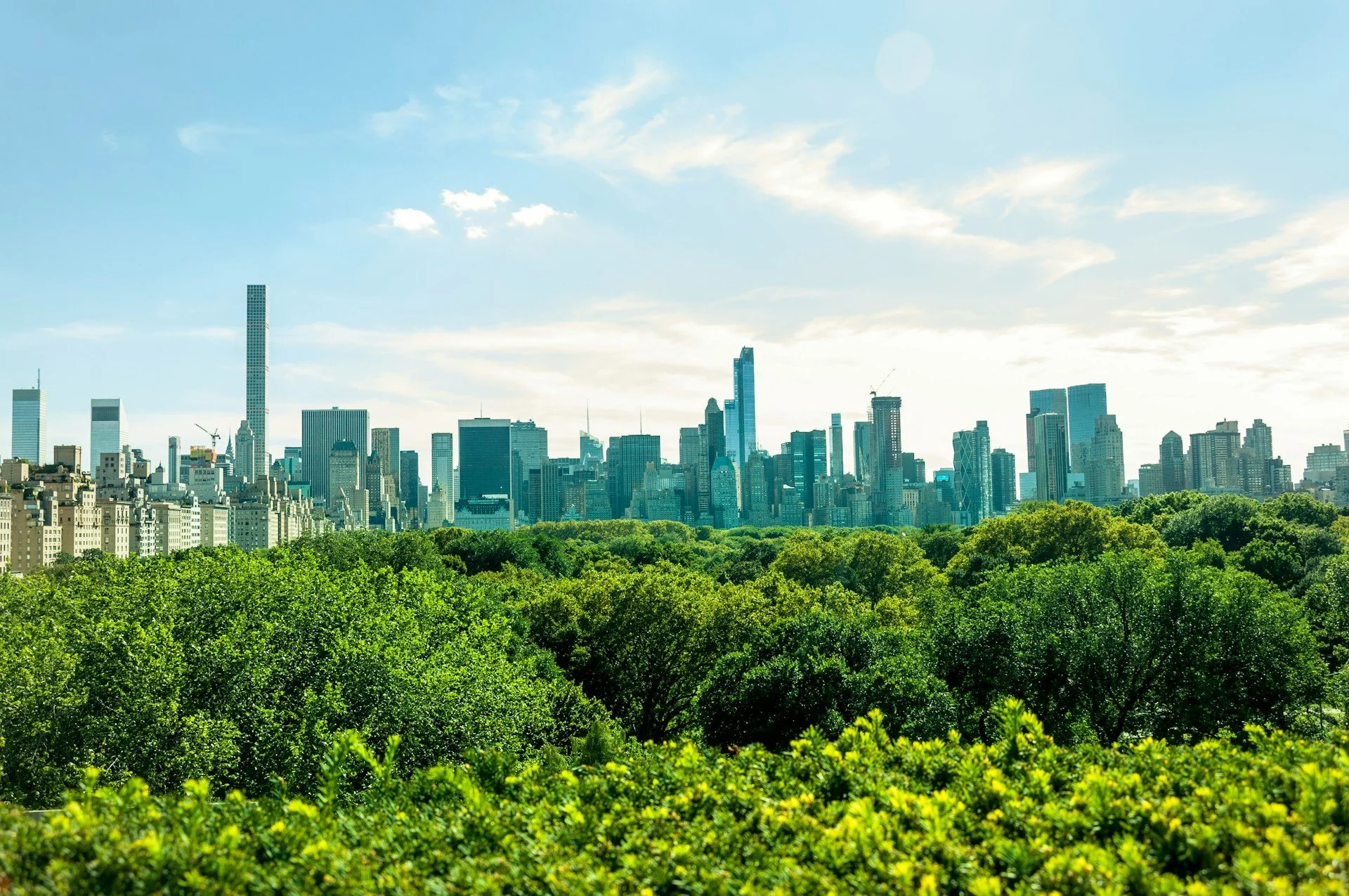 Hotels Near Central Park with a View Worth Paying For