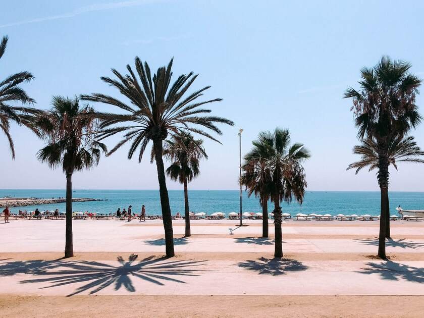 Beach promenade and palm trees in Barceloneta