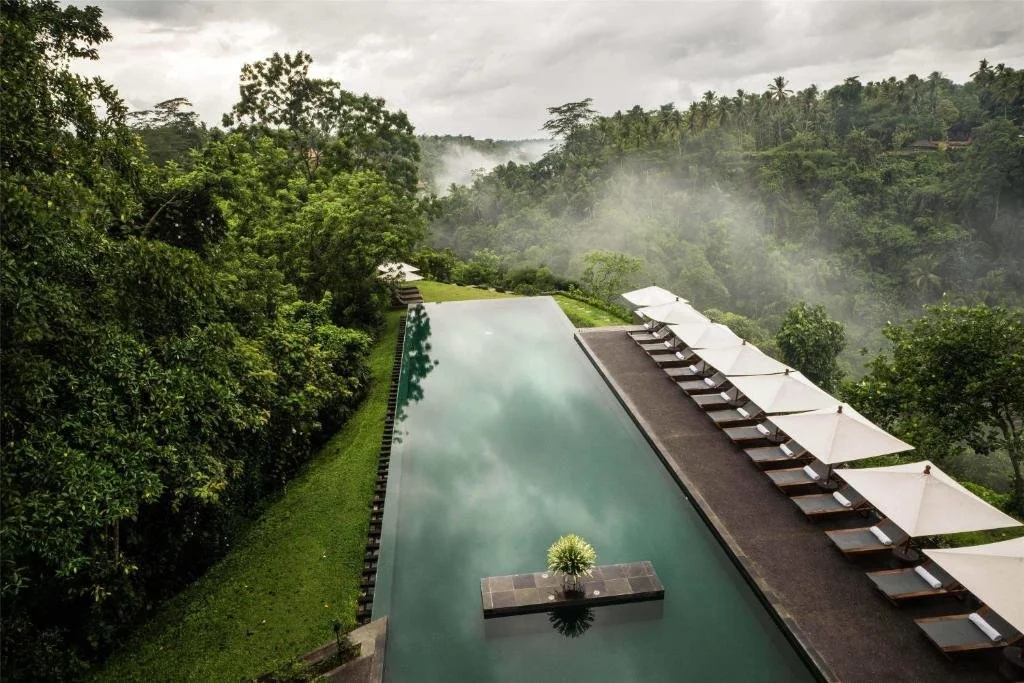 Alila Ubud Bali aerial view of infinity pool with sun loungers overlooking misty jungle ravine and valley