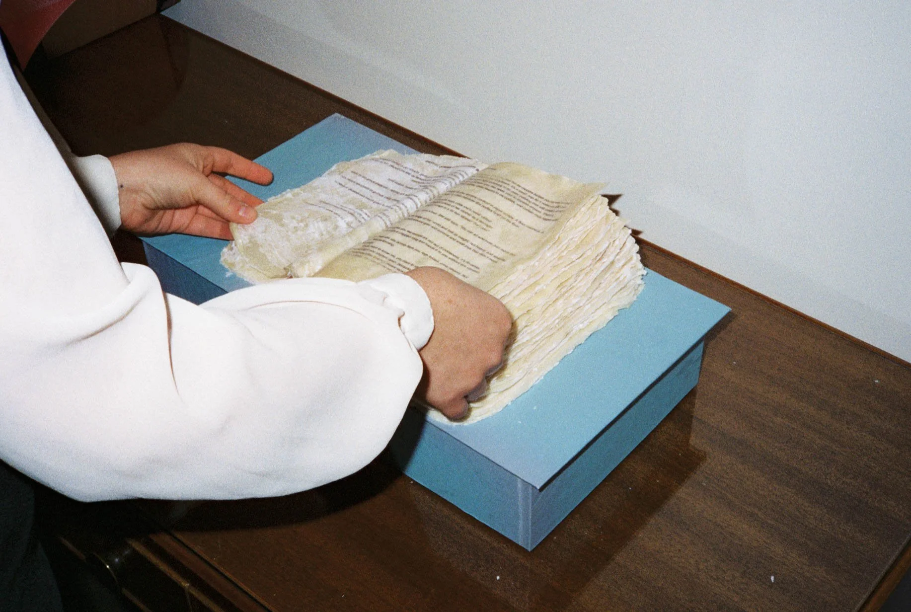 ava7986-094.jpg