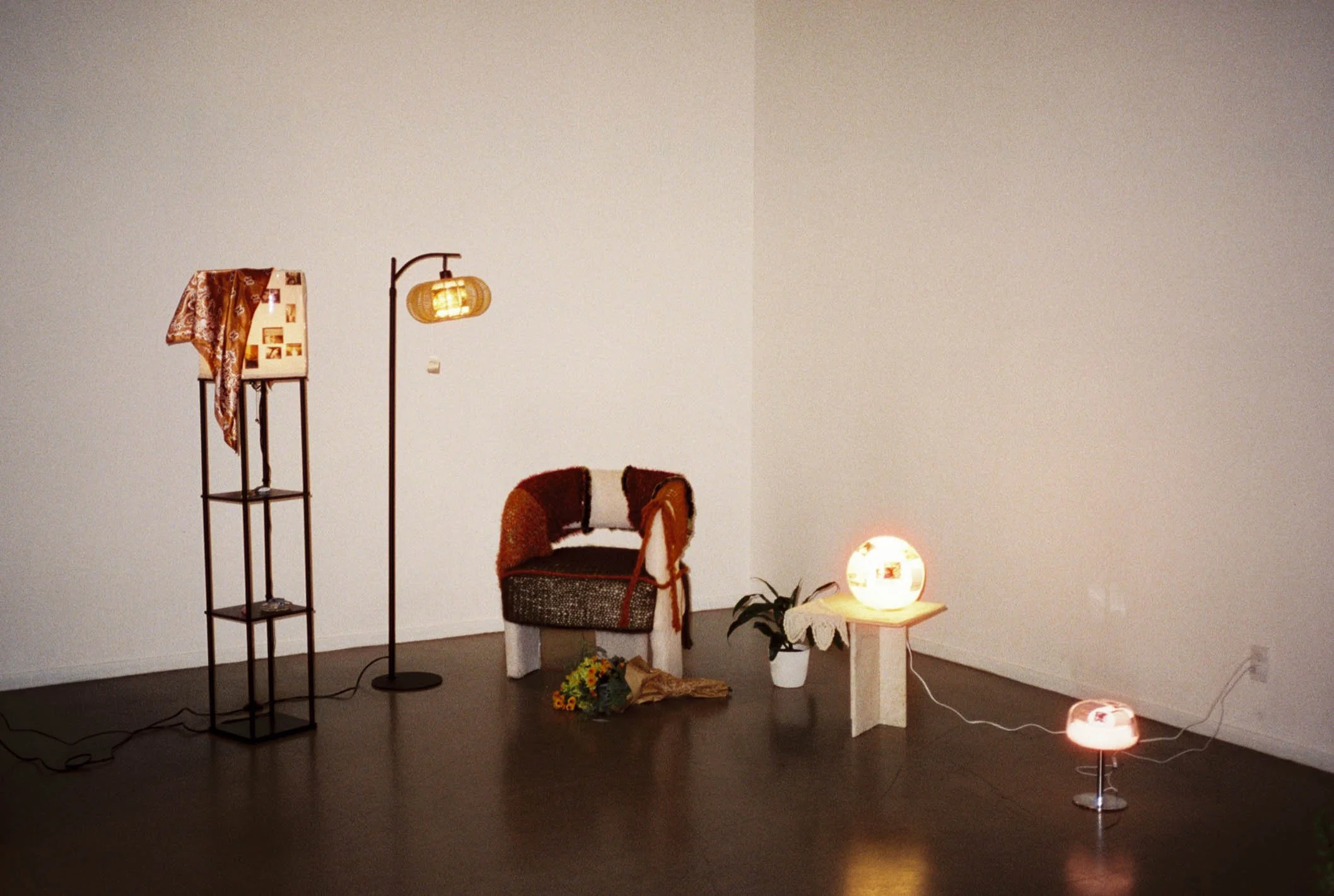 ava7986-138.jpg