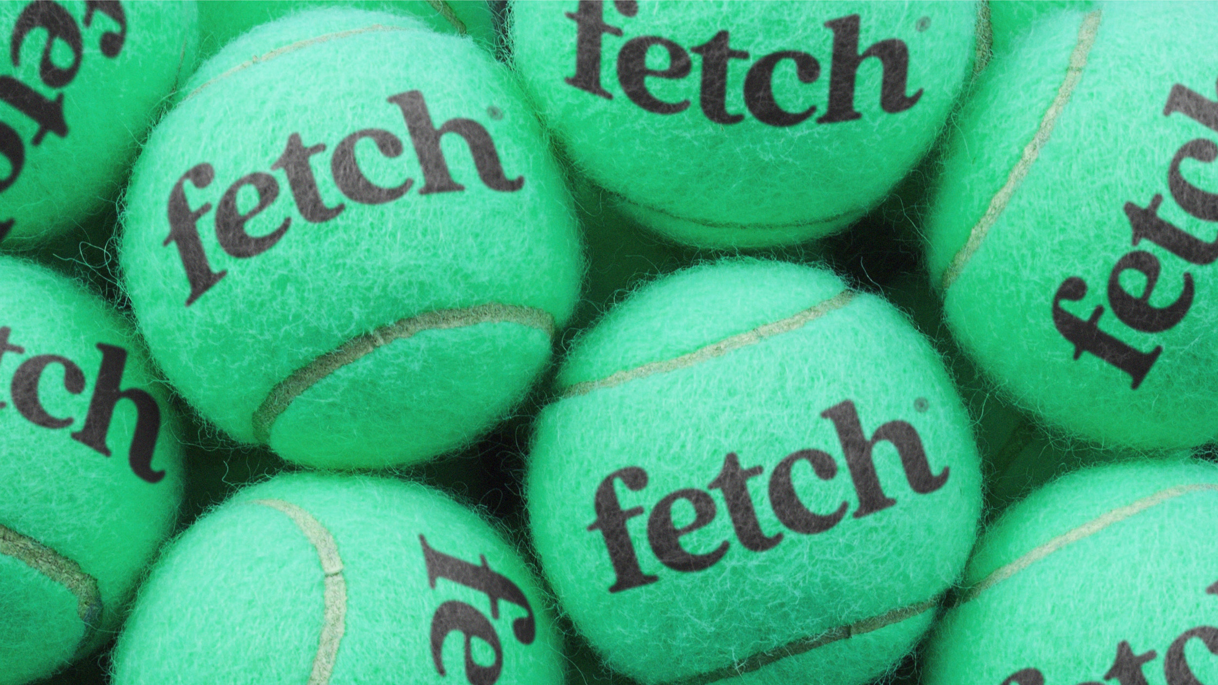 Fetch Pet Brand Identity