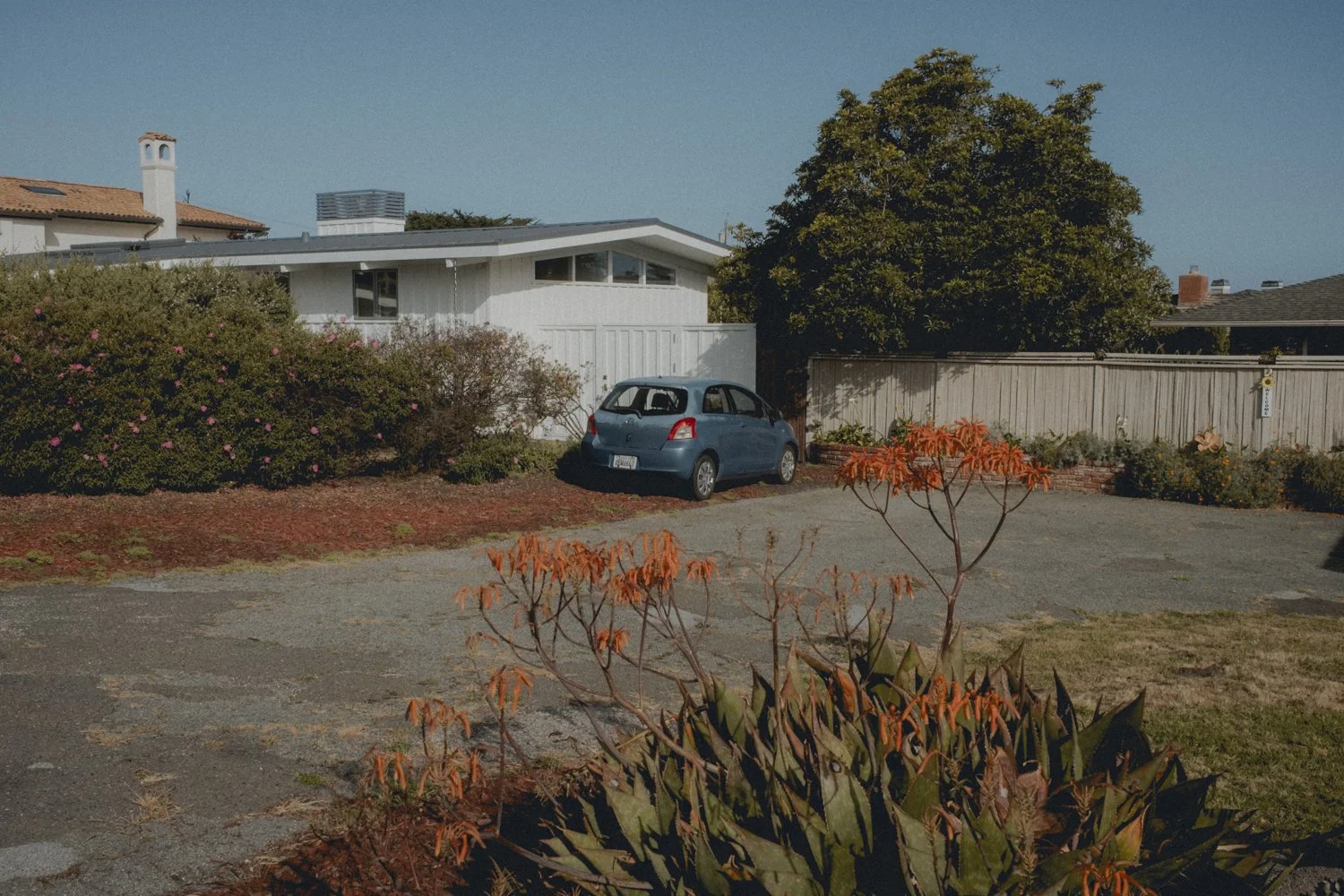 CORALDR-2.jpg