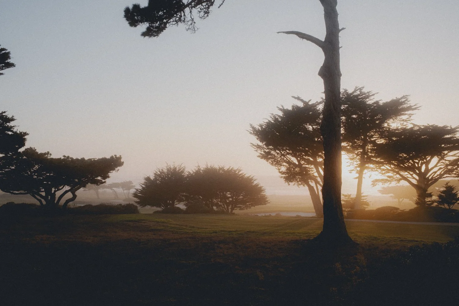 Monterey01-24.jpg