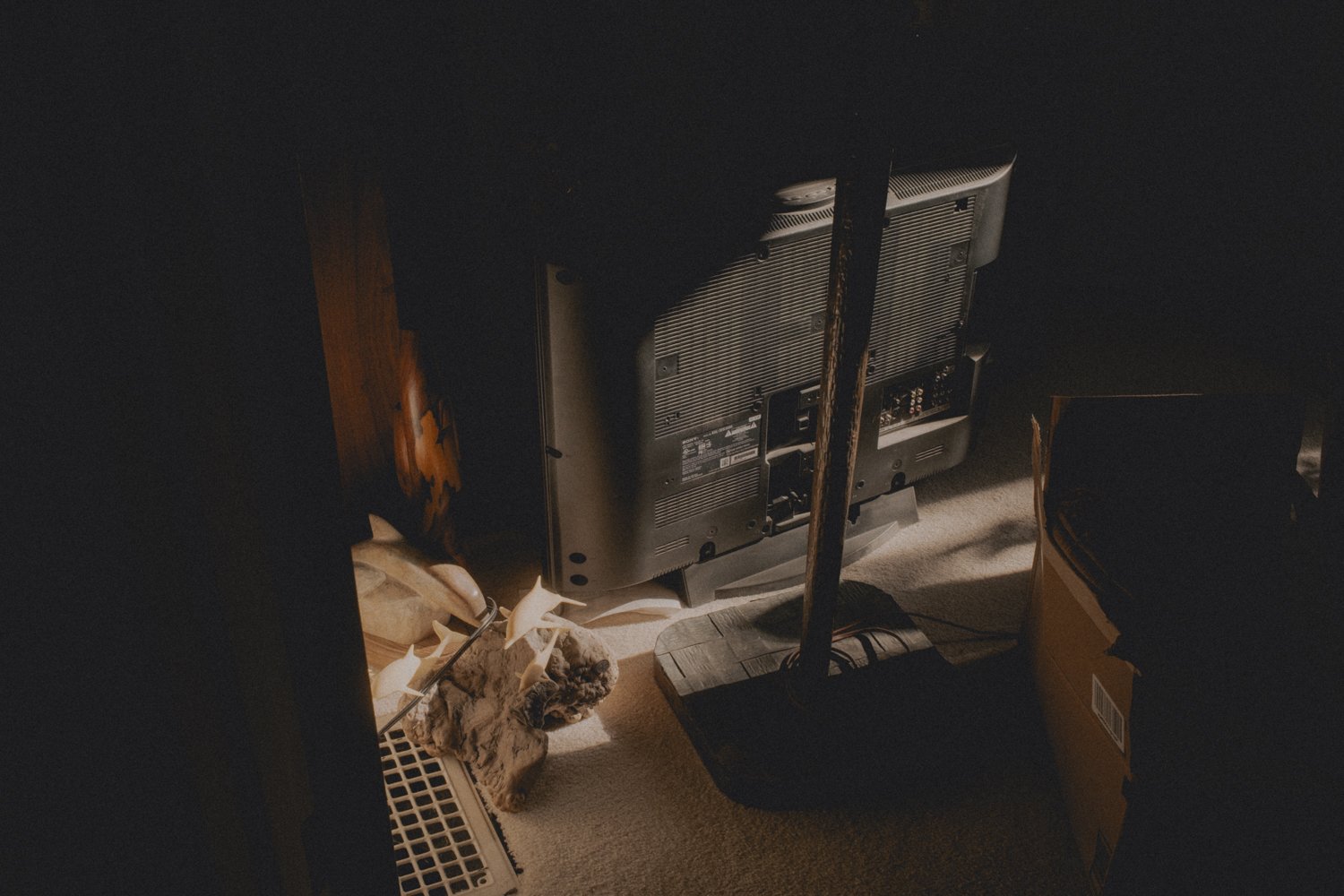 CORALDR-13.jpg