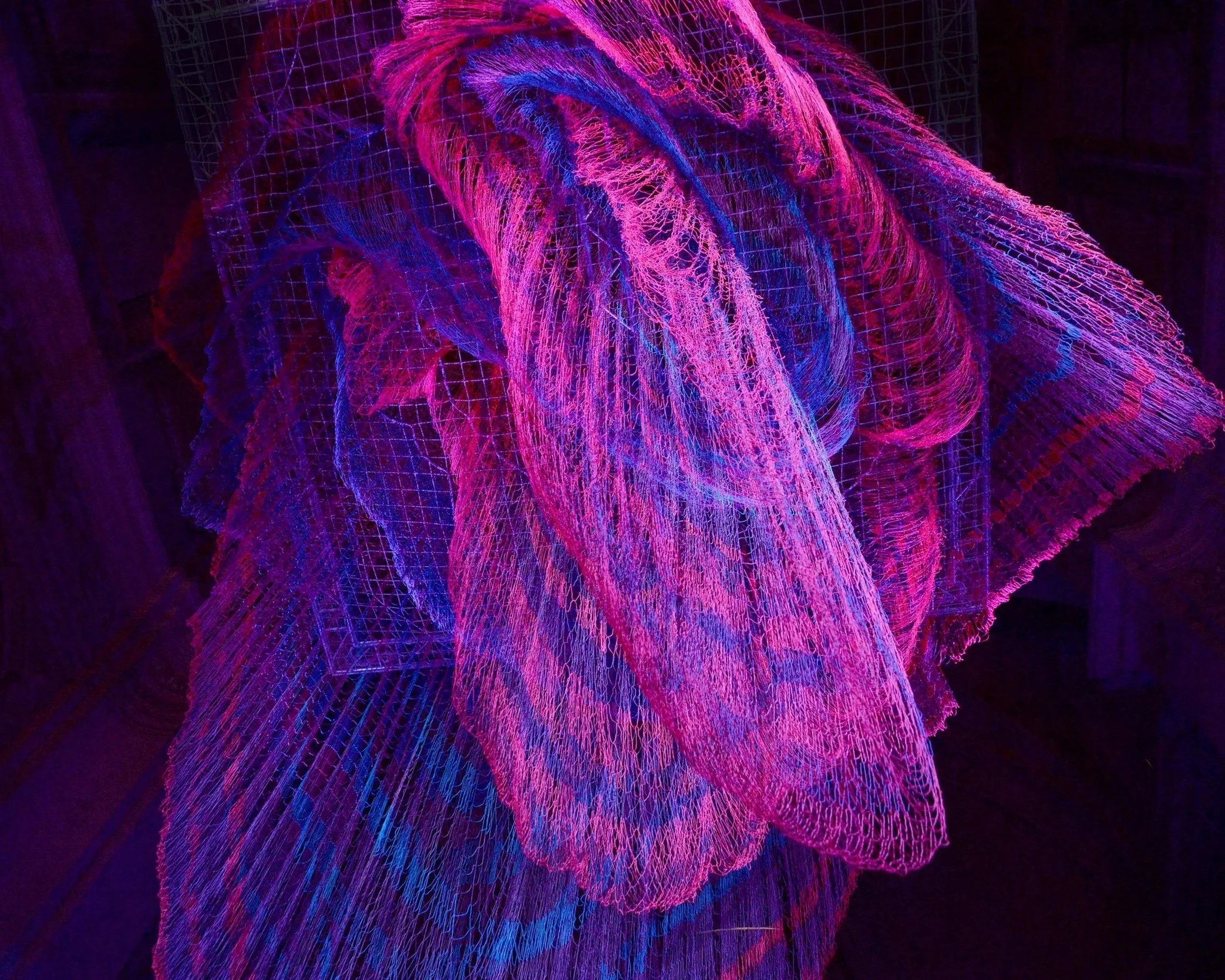Colorful neon wireframe sculpture resembling abstract feathers or leaves with shades of pink, purple, and blue, set against a dark background.