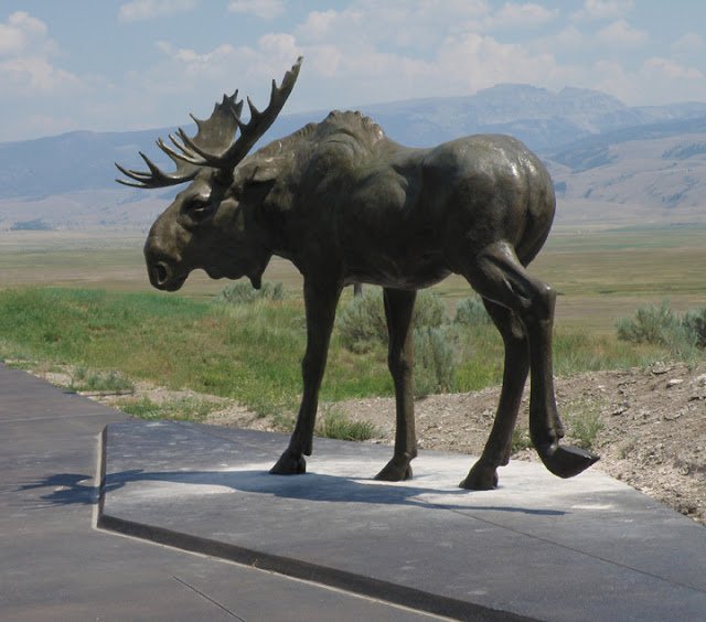 MooseInstall1.jpg