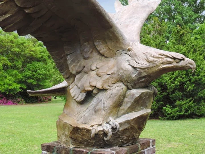BGEagleB.jpg