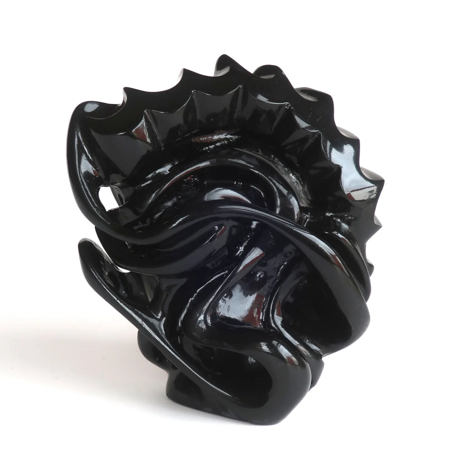 shell_in_black_5.jpg