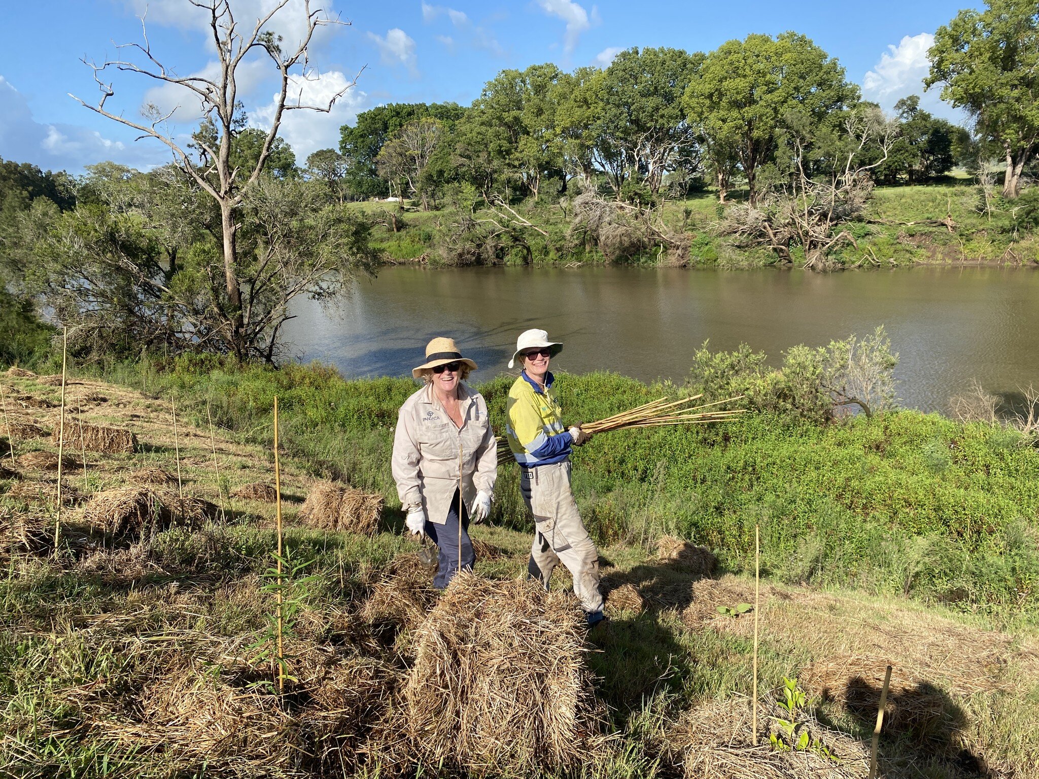 Riverbank Planting, Wyrallah

Join Monaltrie Landcare and Conservation Volunteers for a planting - 5th May 2023 at 9am.

During the 2022 flooding disaster across the Northern Rivers all creek lines and riverbanks were altered in some way and had a la