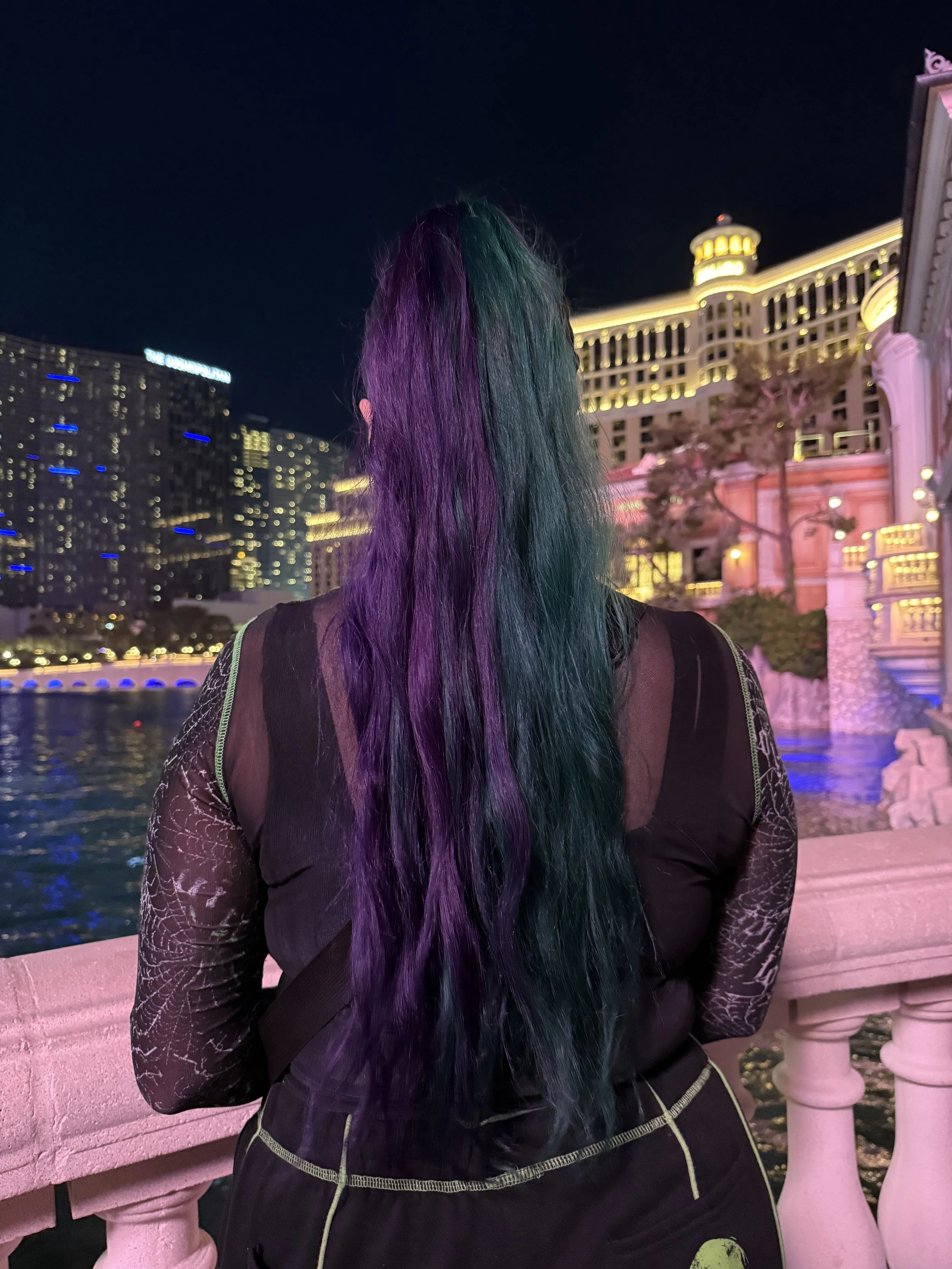 The Venetian - Las Vegas, Nevada