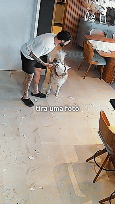 arnoresolve 🐶 x-force