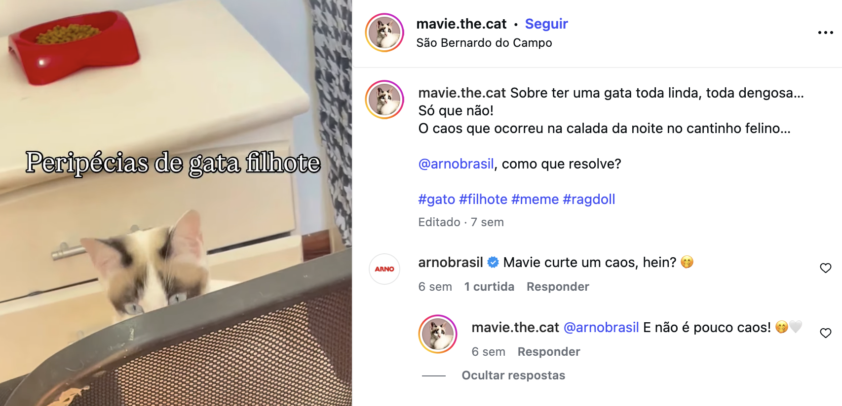 Captura de Tela 2026-09-21 às 14.09.19.png