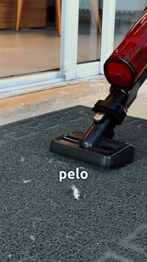 snapinsta-1790105536217.gif