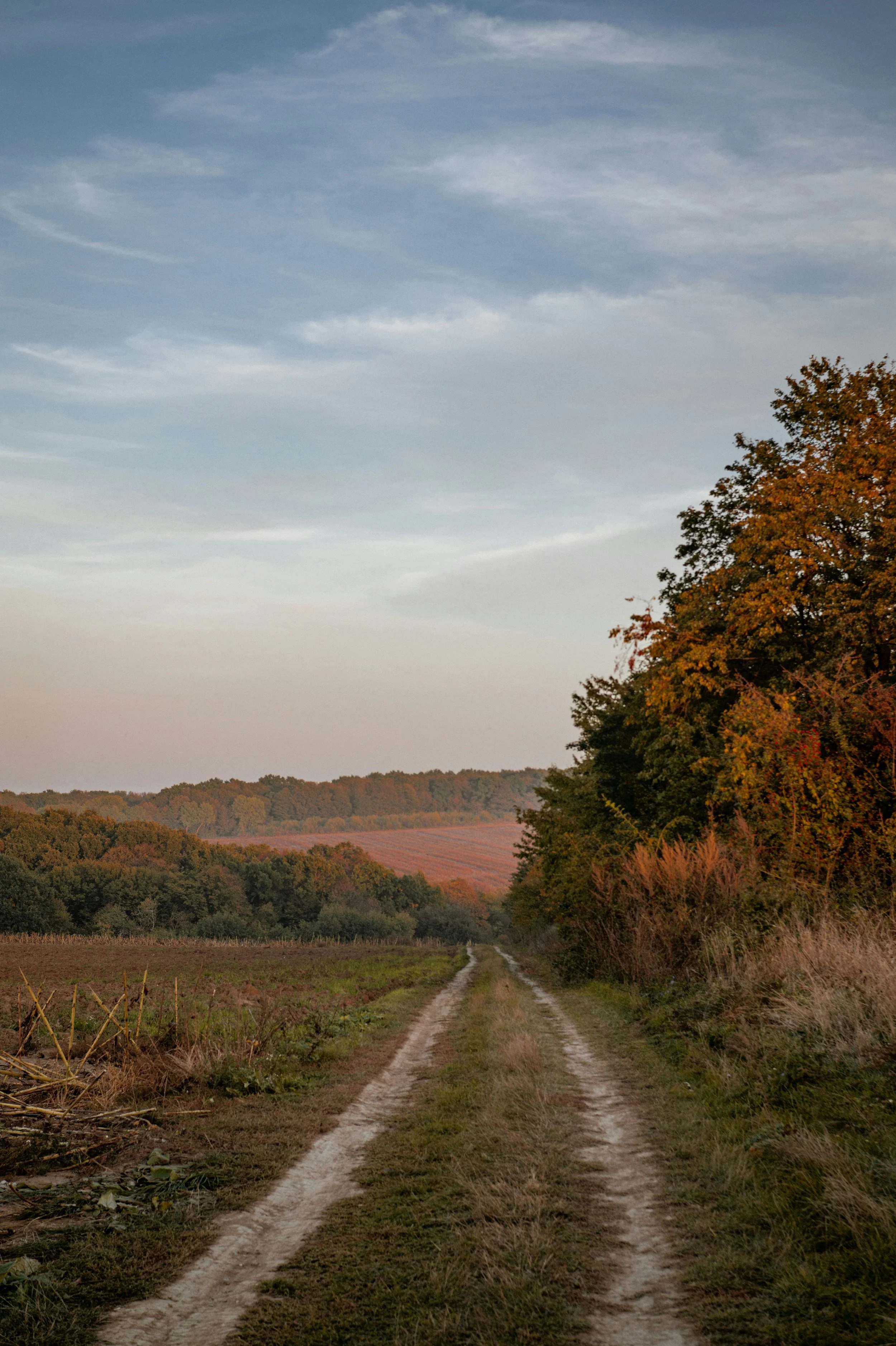 Burnout and Your Nervous System: The Road Back to Yourself