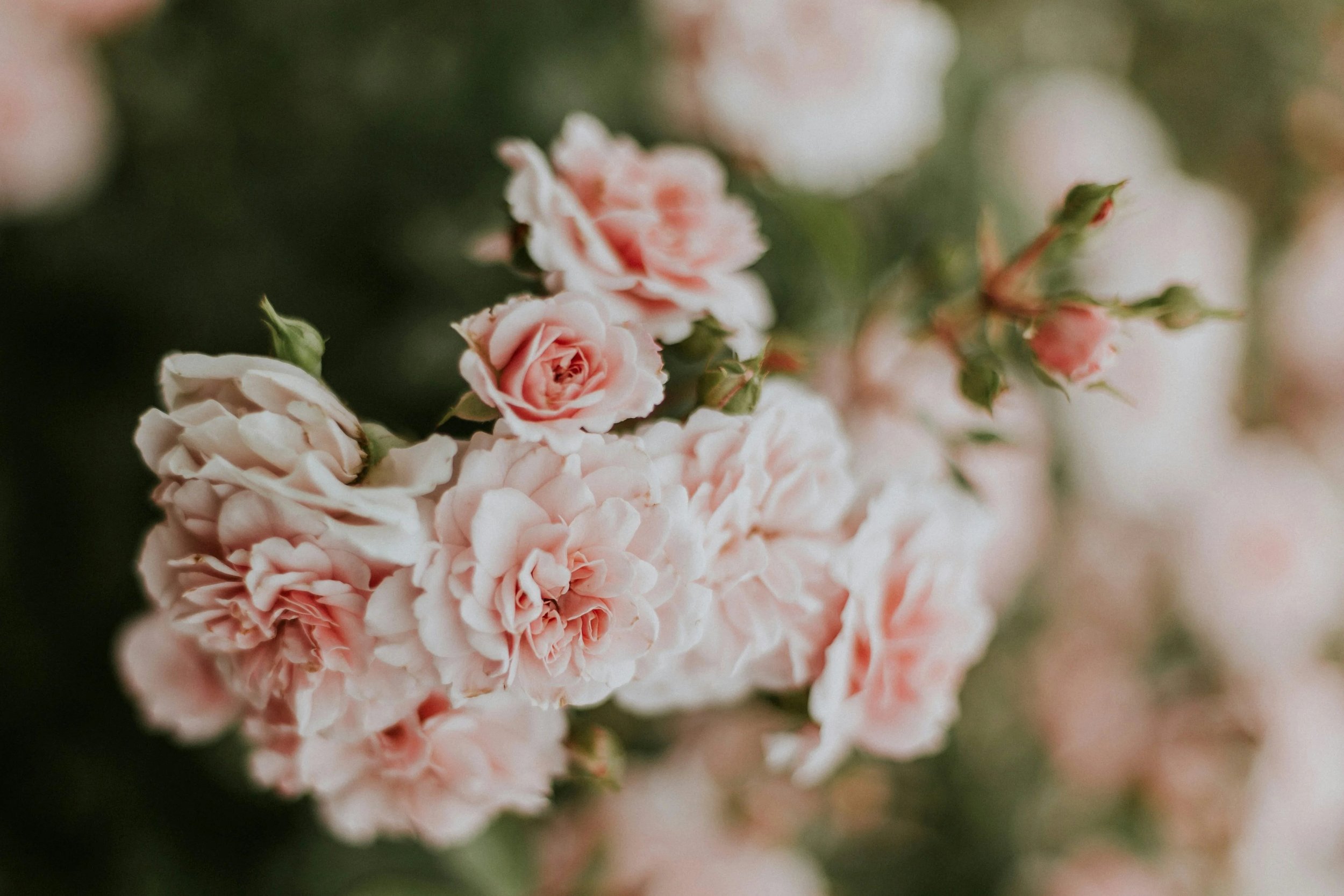 Estrogen Dominance: Signs and What to Do